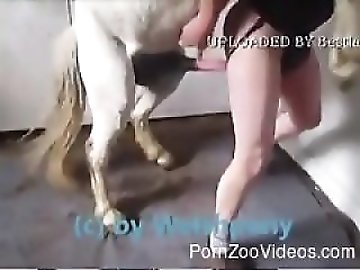 Animal You Porn